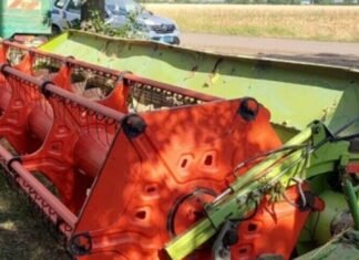 Чужой ячмень исчез прямо с поля: в Одесской области вспыхнул громкий агроскандал