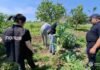 Наркоррекорд в Одесской области: правоохранители изъяли целый арсенал запрещенных веществ, — ФОТО