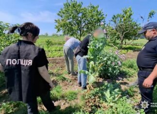 Наркоррекорд в Одесской области: правоохранители изъяли целый арсенал запрещенных веществ, — ФОТО