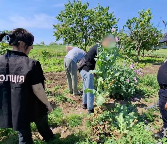 Наркоррекорд в Одесской области: правоохранители изъяли целый арсенал запрещенных веществ, — ФОТО