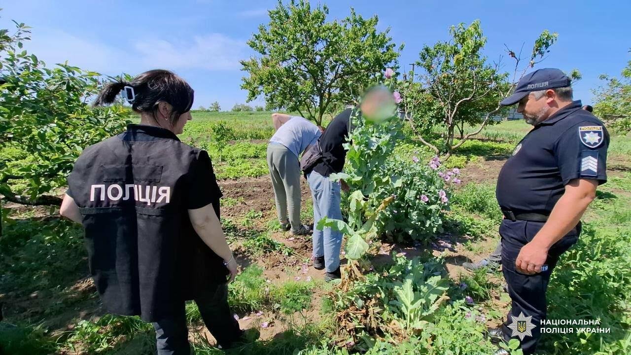 Наркоррекорд в Одесской области: правоохранители изъяли целый арсенал запрещенных веществ, — ФОТО