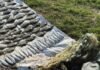 Браконьерам в Одесской области выставили счет на более 4 миллионов за вылов рыбы
