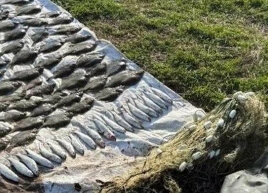 Браконьерам в Одесской области выставили счет на более 4 миллионов за вылов рыбы