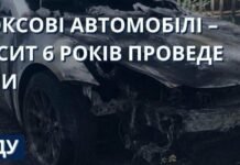 Топил Tesla за деньги: в Одессе вынесли приговор серийному поджигателю авто
