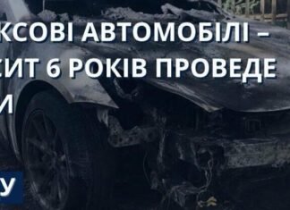 Топил Tesla за деньги: в Одессе вынесли приговор серийному поджигателю авто