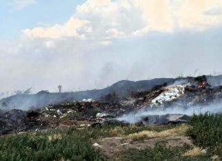 В Одесской области свалка вспыхнула и чуть не уничтожила лес и поля