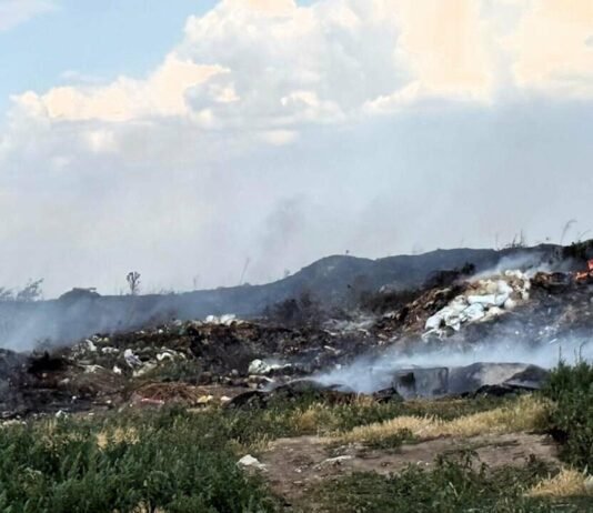 В Одесской области свалка вспыхнула и чуть не уничтожила лес и поля