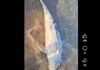 Через пять дней на Одесщине море выбросило еще четырех дельфинов