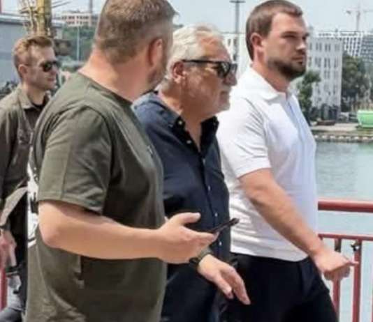Одесский порт в центре внимания: делегация из Европы своими глазами увидела работу морского коридора, — ФОТО