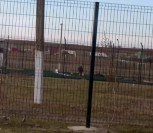 Футбольное поле без строительства: в Одесской области из-за аферы будут судить чиновницу