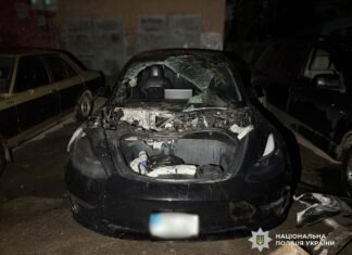 Палили элитные Tesla под заказ: в Одессе будут судить двух юношей из Одесщины, — ФОТО, ВИДЕО