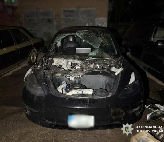 Палили элитные Tesla под заказ: в Одессе будут судить двух юношей из Одесщины, — ФОТО, ВИДЕО