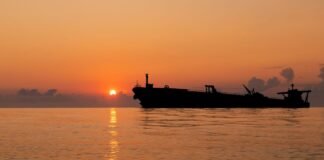 «Теневой флот» РФ за ночь потерял 13 судов на подходах к Крыму, — «Мадяр»