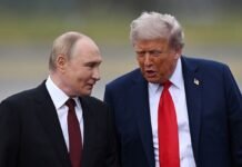 Путин и Трамп провели телефонный разговор: говорили о войне в Украине