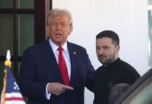 СМИ узнали время встречи Зеленского и Трампа в США
