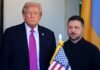 Зеленский и Трамп встретятся на этой неделе