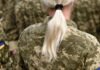 Украинки и роспропаганда: кому выгодны новые слухи о мобилизации женщин