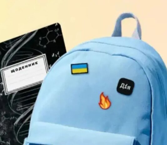 "Школьный набор" еще не запустили в "Дії": когда можно будет оформить выплату на первоклассника
