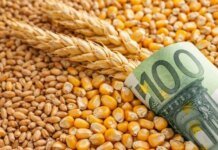 В Украине временно скорректировали минимальные экспортные цены на агропродукцию, готовят план развития переработки — Корецкий