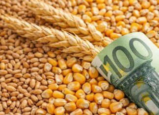 В Украине временно скорректировали минимальные экспортные цены на агропродукцию, готовят план развития переработки — Корецкий