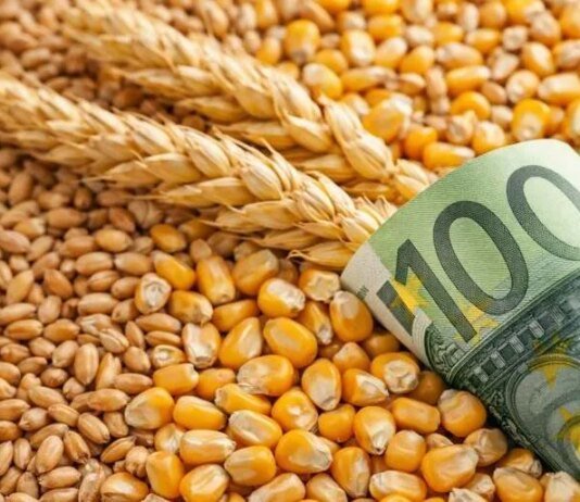 В Украине временно скорректировали минимальные экспортные цены на агропродукцию, готовят план развития переработки — Корецкий