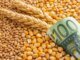 В Украине временно скорректировали минимальные экспортные цены на агропродукцию, готовят план развития переработки — Корецкий