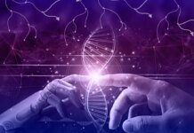 Искусственный интеллект впервые создал новые жизнеспособные вирусы, которых нет в природе