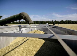 Экспорт агропродукции из Украины может сократиться на 54% из-за атак на порты — Bloomberg