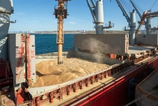 Экспорт зерна из Украины сталкивается с новыми ограничениями из-за рекордно низкого уровня воды в Дунае — СМИ