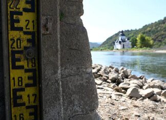 Обмеление Рейна привело к росту цен на топливо в Германии