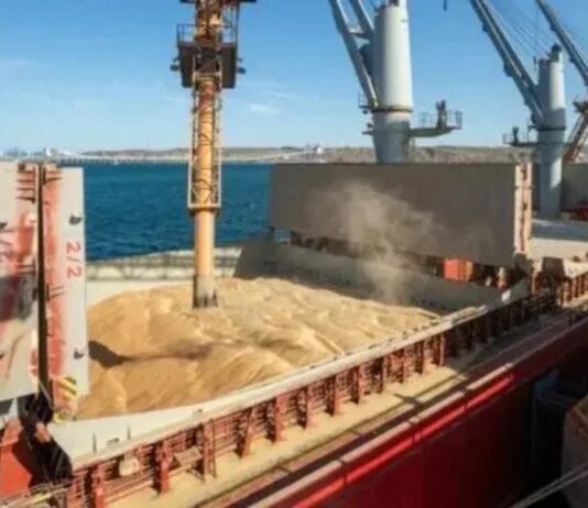 Экспорт зерна из Украины обвалился из-за ситуации в Чёрном море: что произошло с морским коридором