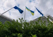 ЕС отказал Украине в гранте на 220 млн евро для фермеров — СМИ