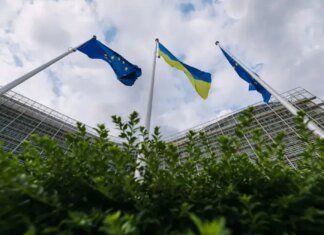 ЕС отказал Украине в гранте на 220 млн евро для фермеров — СМИ