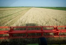 Проблем с дефицитом продукции и оснований для критического подорожания нет, урожай хороший — министр