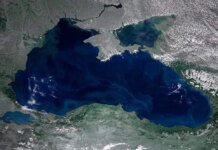 Топ-компания по контейнерным перевозкам приостановила рейсы в порт новороссийска — Bloomberg