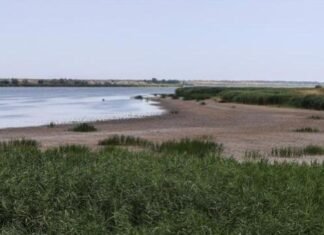 Одещина на грани водного кризиса: что происходит с Дунаем, Днестром и Придунайскими озерами
