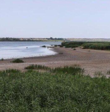 Одещина на грани водного кризиса: что происходит с Дунаем, Днестром и Придунайскими озерами