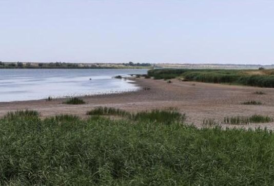 Одещина на грани водного кризиса: что происходит с Дунаем, Днестром и Придунайскими озерами