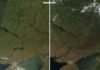 «Выжженная земля»: как с 2022 года изменился ландшафт Украины, где проходит линия фронта (спутниковые снимки)