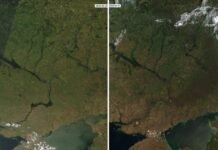 «Выжженная земля»: как с 2022 года изменился ландшафт Украины, где проходит линия фронта (спутниковые снимки)