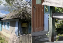 Украинка показала дом в вымирающей деревне: «Очень больно» (фото)
