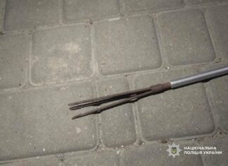Гарпун против пистолета: в Одесской области спор из-за парковки закончился стрельбой