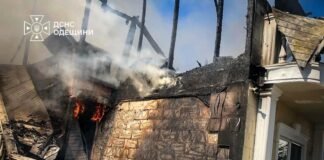 Огромный пожар у моря: в Одесской области огонь охватил 400 м2