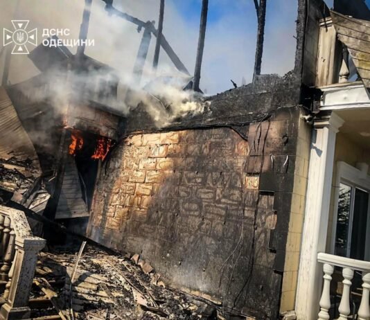 Огромный пожар у моря: в Одесской области огонь охватил 400 м2