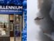 Россияне уничтожили склад шоколада Millennium в Днепре