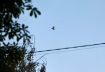В Херсоне дрон ударил по маршрутке с людьми, есть погибшие