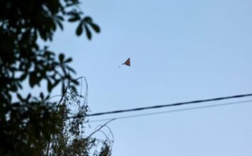 В Херсоне дрон ударил по маршрутке с людьми, есть погибшие
