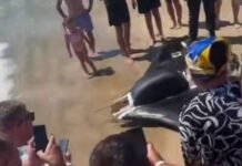В Одессе на берег вынесло обломки дрона: ребенок утащил с собой часть беспилотника (видео)