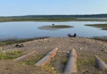 Реки и водохранилища мелеют: в каких регионах Украины не хватает воды (видео)