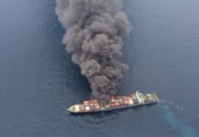 Турция хочет защитить морские перевозки в Черном море: предложение отправили в Россию